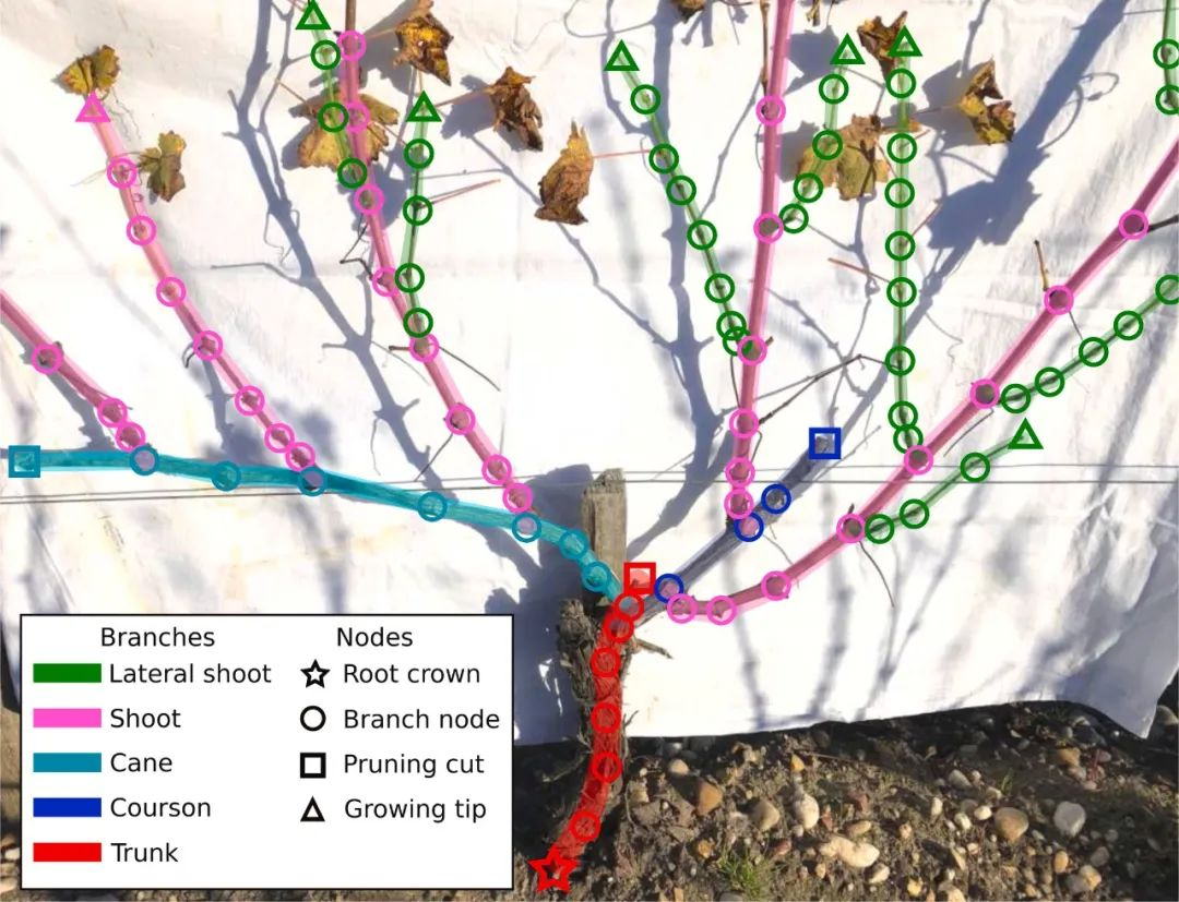 1701419012197006914.png 图片2.png